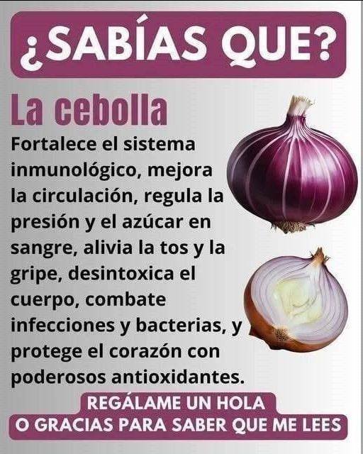 Los increíbles beneficios de la cebolla mucho más que un ingrediente en la cocina